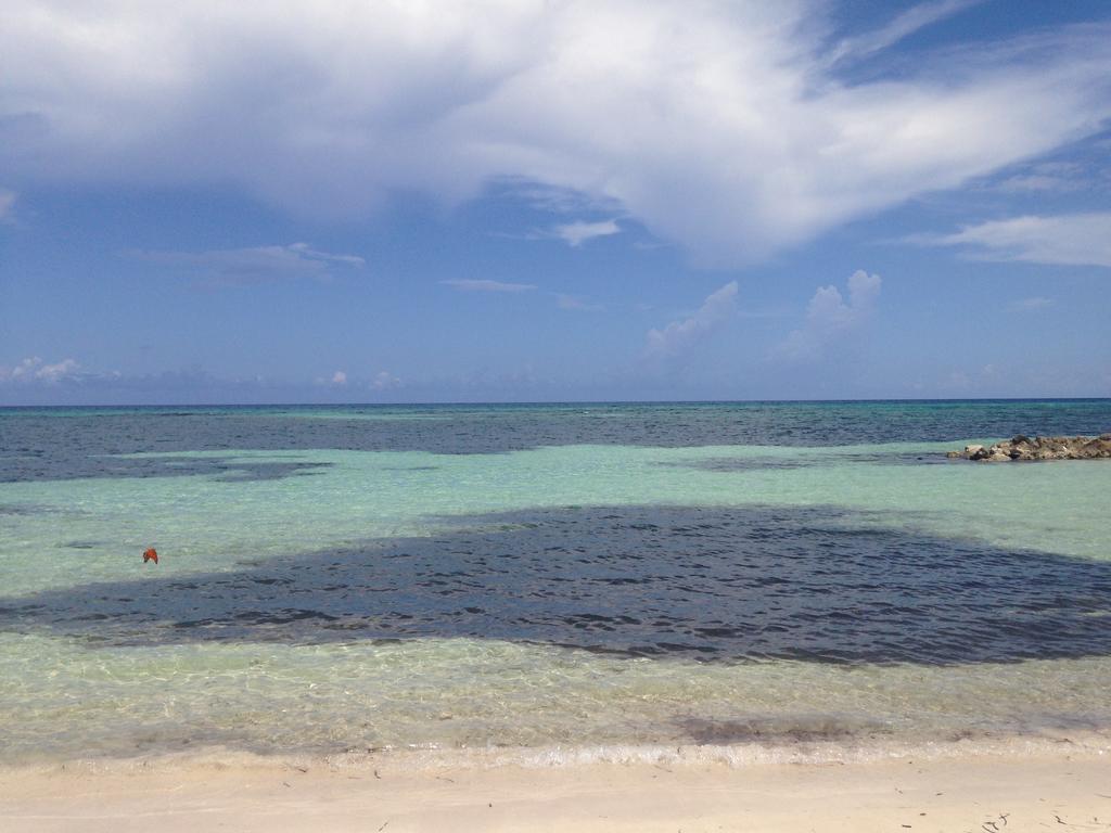 Seacastles By The Beach/Pool Montego Bay Luaran gambar